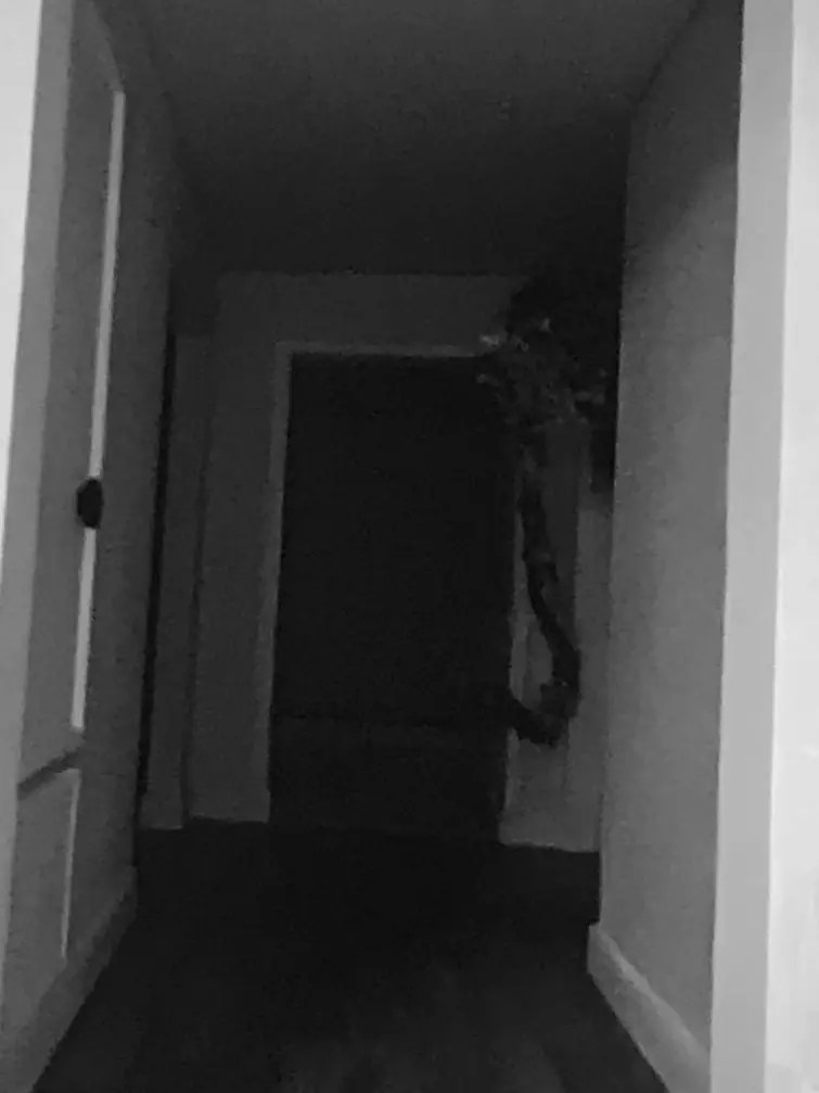 Discuss Everything About Kane Pixels Backrooms Wiki Fandom