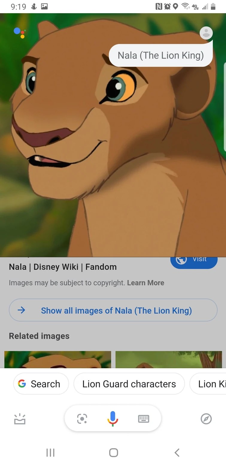 Are simba And nala siblings? Fandom