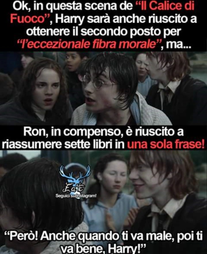 E Se Harry Ed Hermione Fossero Stati Insieme La Loro Love Story In 8 Divertenti Meme