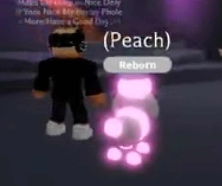 what does a neon poodle look like? has anyone seen one? Fandom