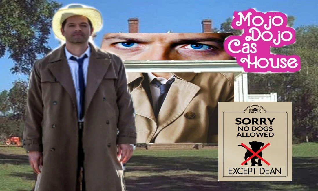 I love misha collins and the misha collins website Fandom