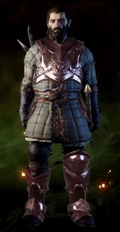 Superior Vanguard Mail | Dragon Age Wiki | Fandom