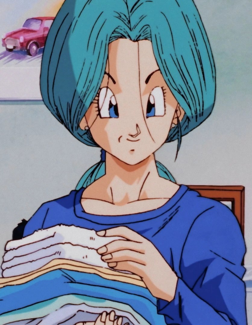 dragon ball wiki bulma | Family Man Librarian