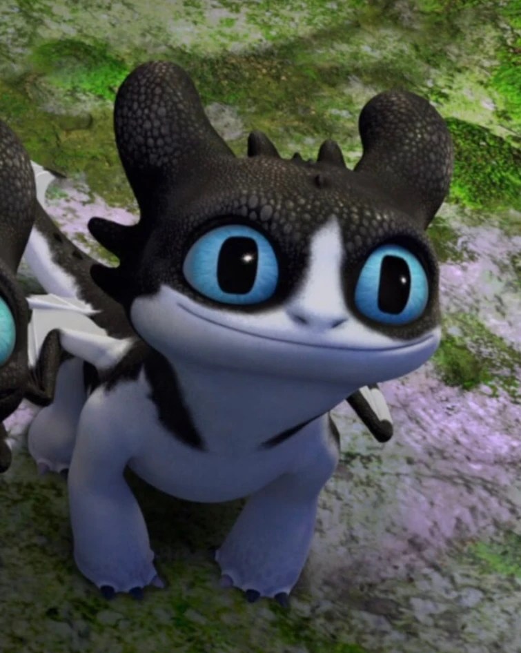 The baby Nightlights in DT9R Season 4. Official names. Fandom