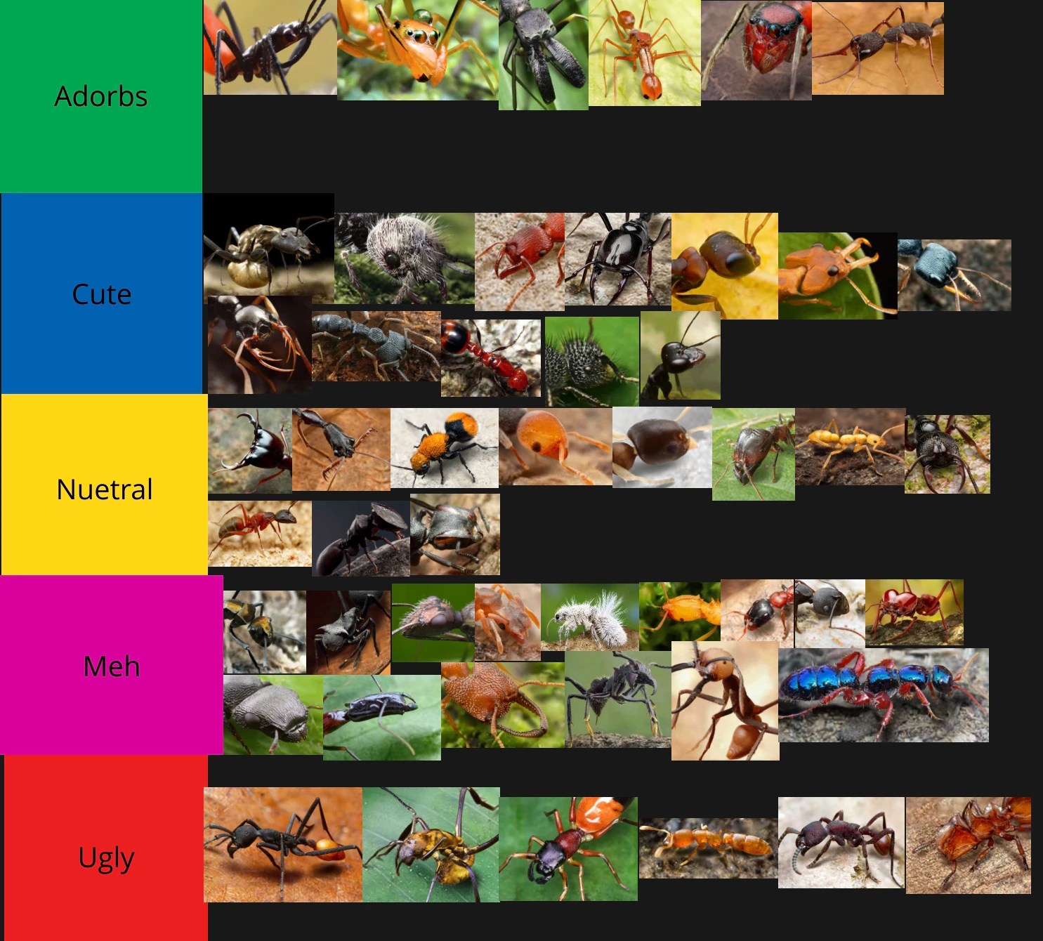 I made something… Special Ant Cuteness Tier List Fandom
