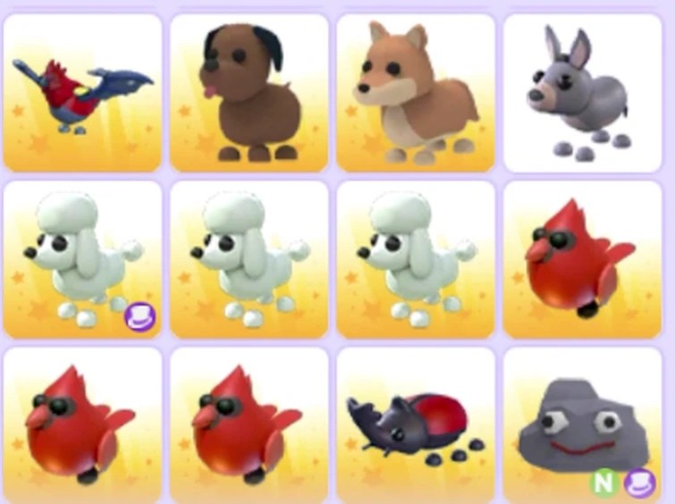 What do you think ALL my Adopt Me pets are worth Fandom