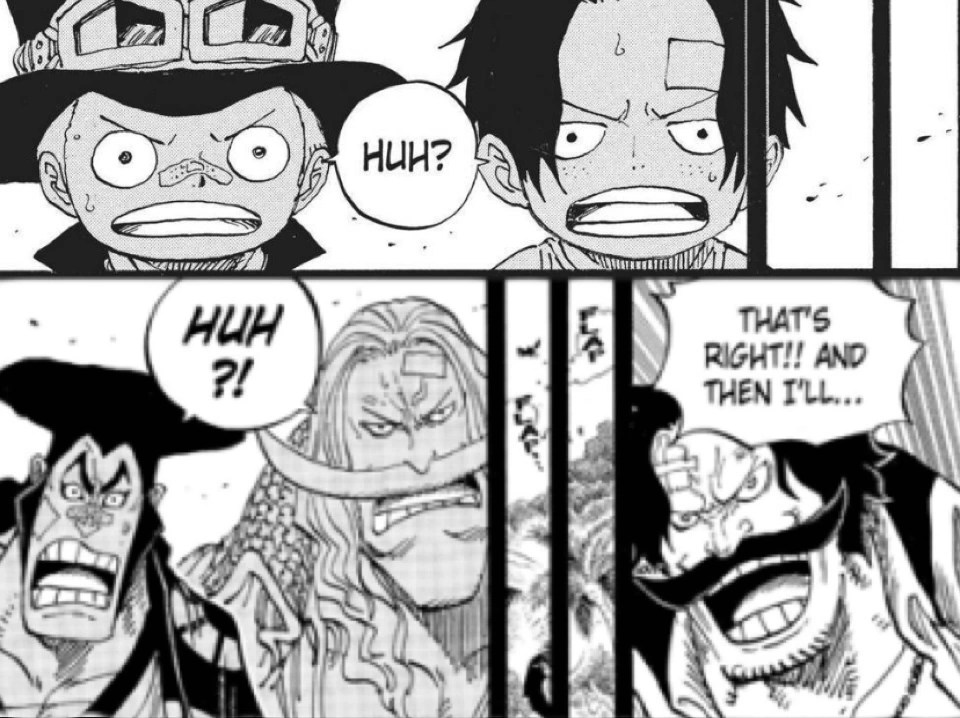 Does anyone know what Roger & Luffy said? Fandom