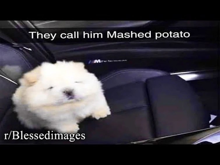 They Call Him Mashed Potato Fandom