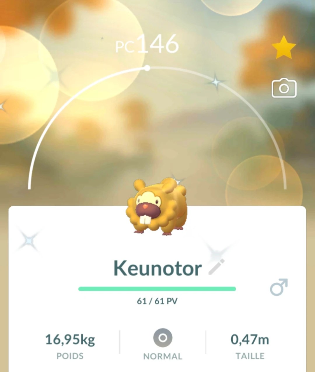 Full odds shiny bidoof Fandom