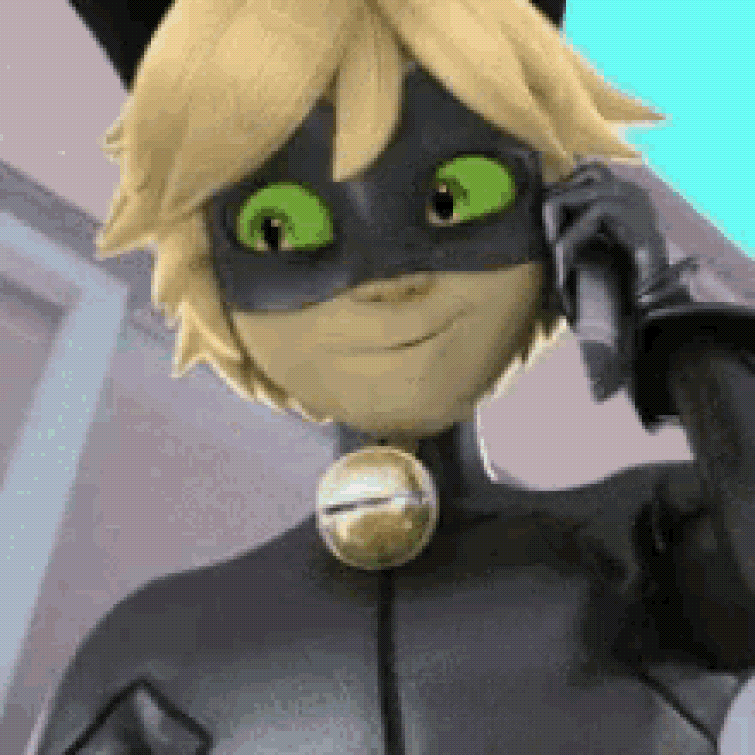 Cat noir Fandom