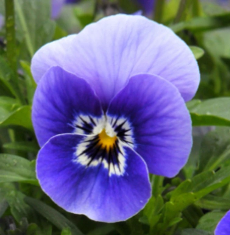 Hmmmm this is a normal post do not be alarmed Fandom