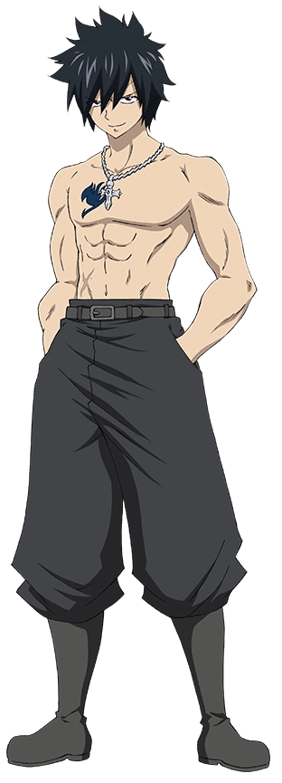 Gray Fullbuster | Fairy Tail Wiki | Fandom 865_x_312_jpg