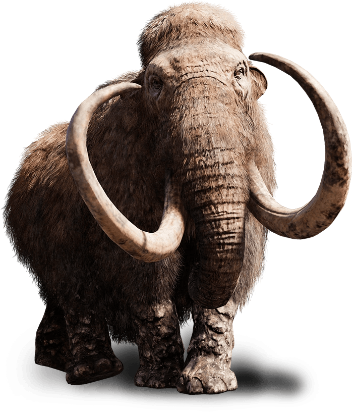 far cry 6 wiki fandom | Family Man Librarian