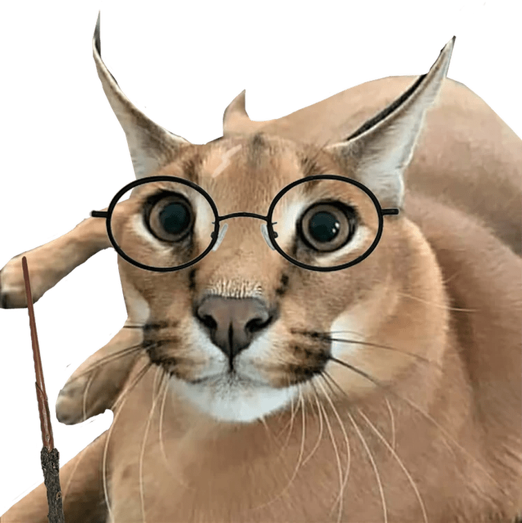 Big Floppa Cute Fandom