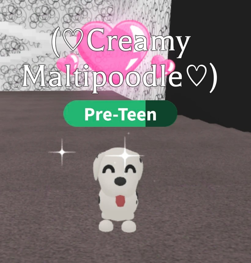 Dalmatian up for adoption! ) Fandom