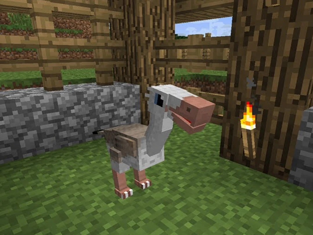 Phorusrhacos Fossils And Archeology Wiki Fandom