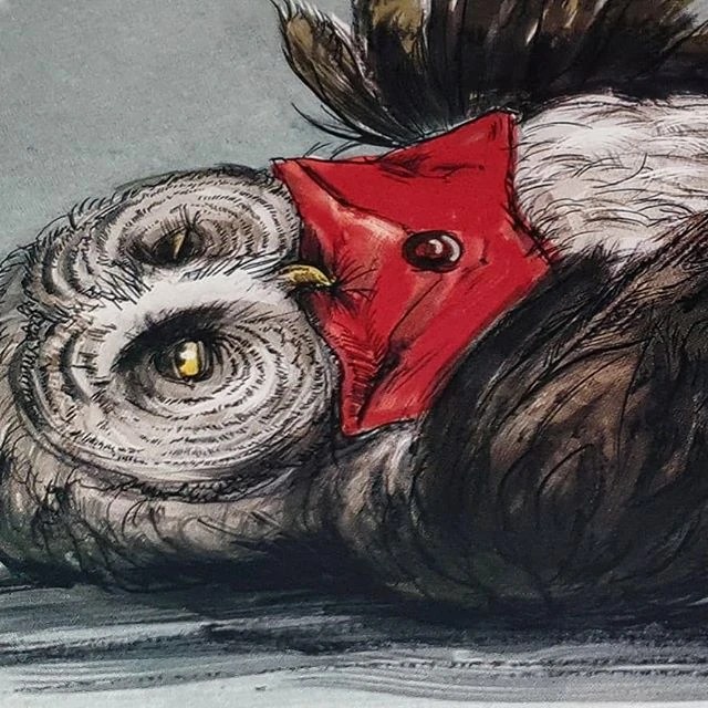 Errol Harry Potter Books Wiki Fandom