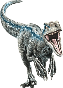 It has been three years since the catastrophic events at the jurassic world theme park. Blue Jurassic Park Wiki Fandom
