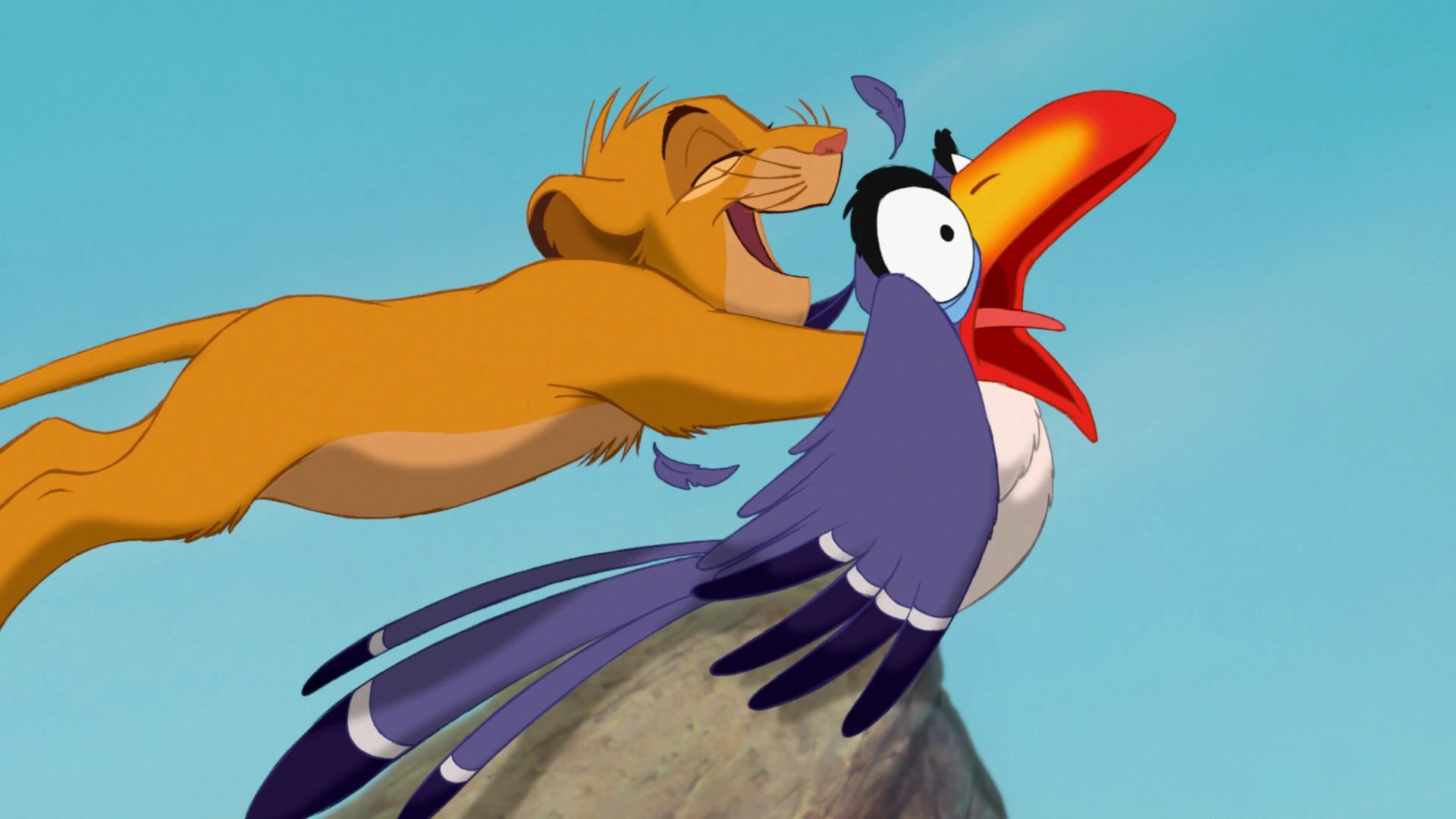 Zazu Disney Wiki Fandom 50 OFF - Mu Galde Koak