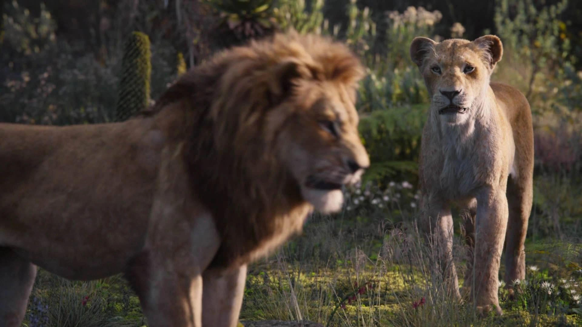 The Lion King Simba And Nala Young(04)