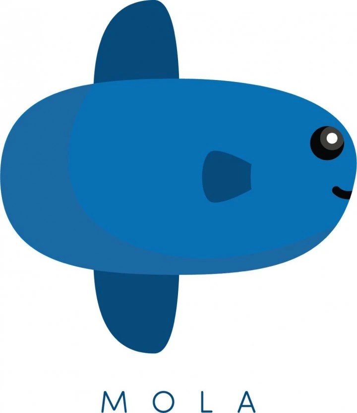 Mola Streaming Service Logopedia Fandom