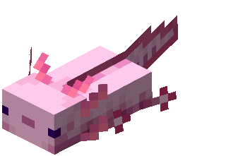 Clicking on it with a water bucket will yield a bucket of axolotl. Axolotl | Minecraft Wiki | Fandom