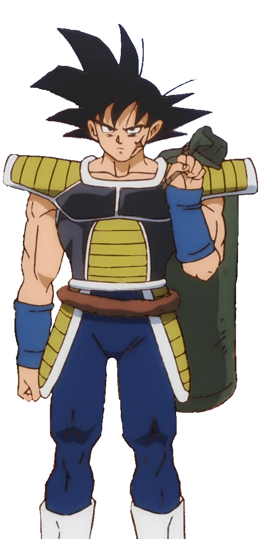 what is bardock's power level - Bille Brousse