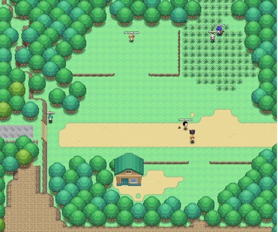 pokemon planet wiki quests | Pita Bloom