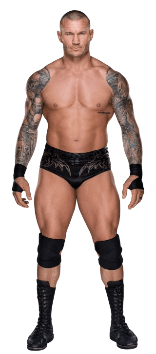 Randy Orton | Pro Wrestling | Fandom 728_x_320_jpg