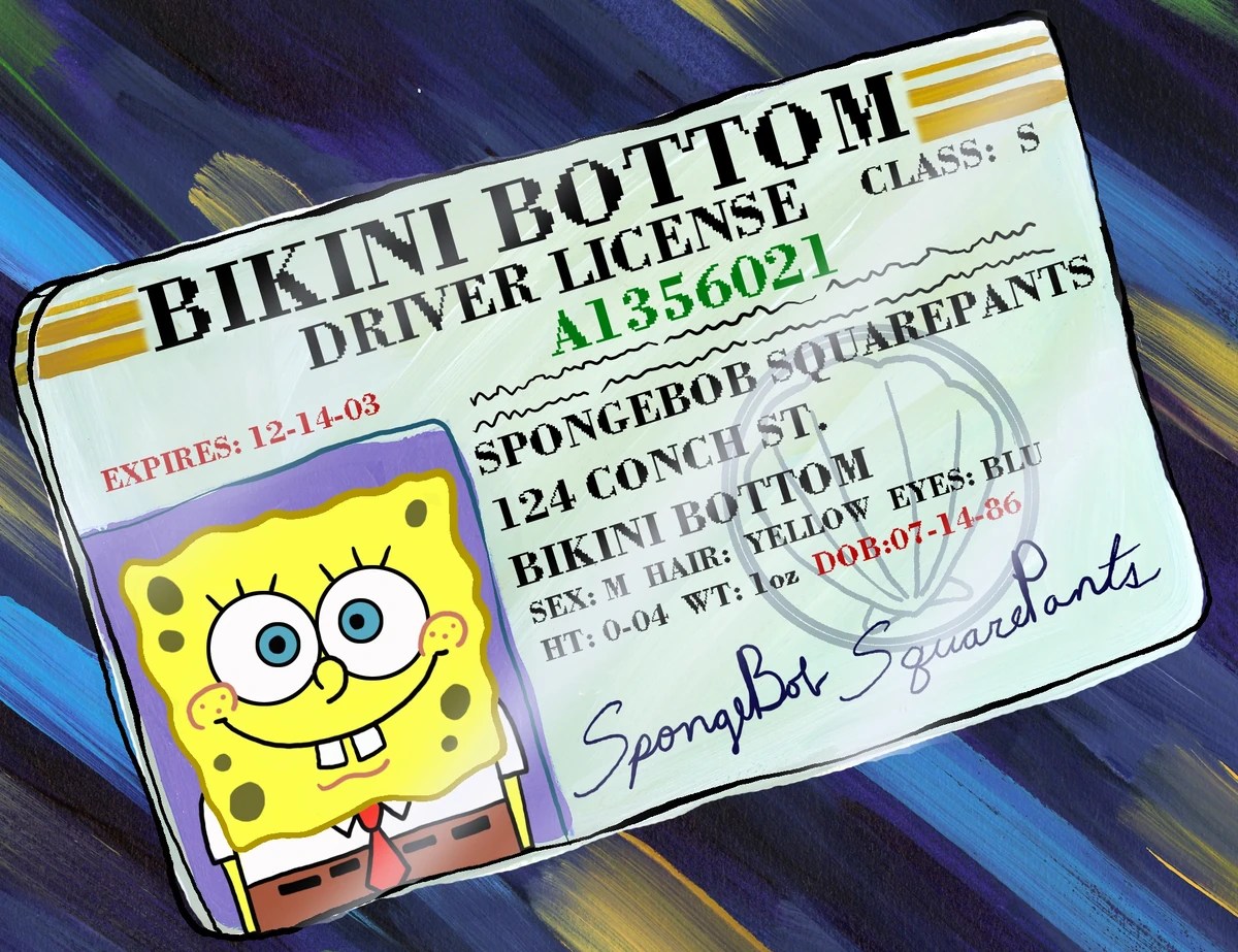 SpongeBob's driver's license Encyclopedia SpongeBobia Fandom