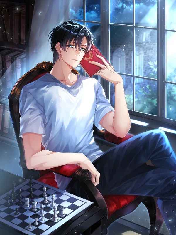 what is the author's pov