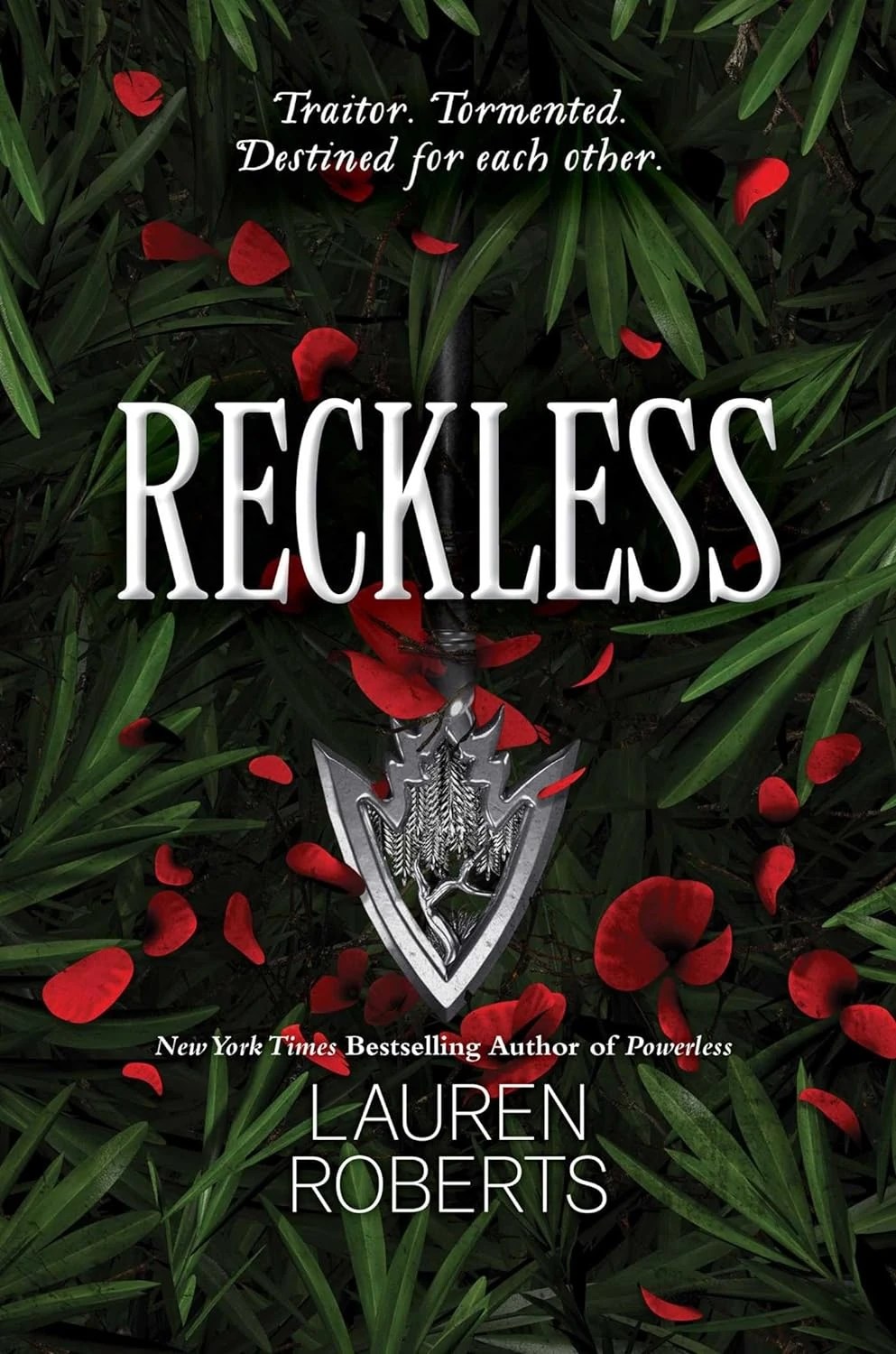 Reckless The Powerless Trilogy Wiki Fandom(04)