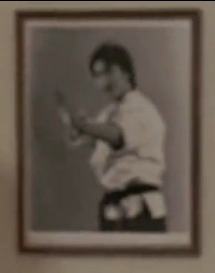 kim sun young karate kid