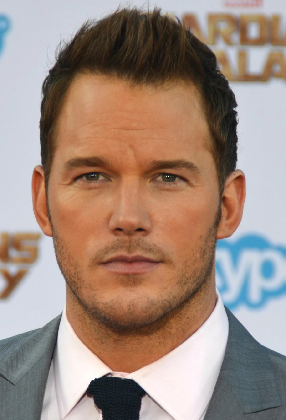 Chris Pratt The LEGO Movie Wiki Fandom