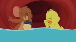 Belly Achin Tom And Jerry Wiki Fandom