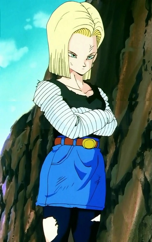 Goku Android 18 And Color