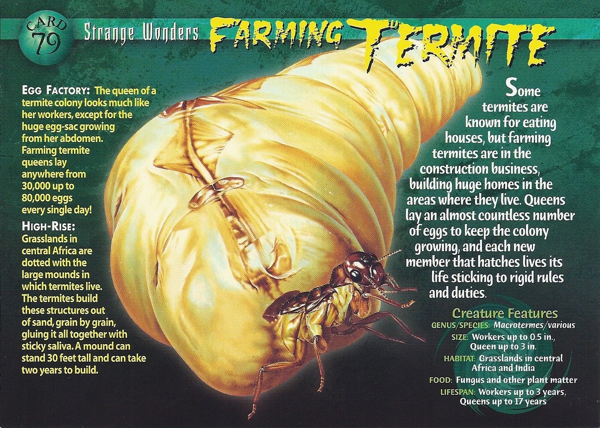 Farming Termite Weird n' Wild Creatures Wiki Fandom