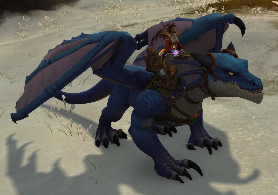 Highland Drake Wowpedia Your wiki guide to the World of Warcraft