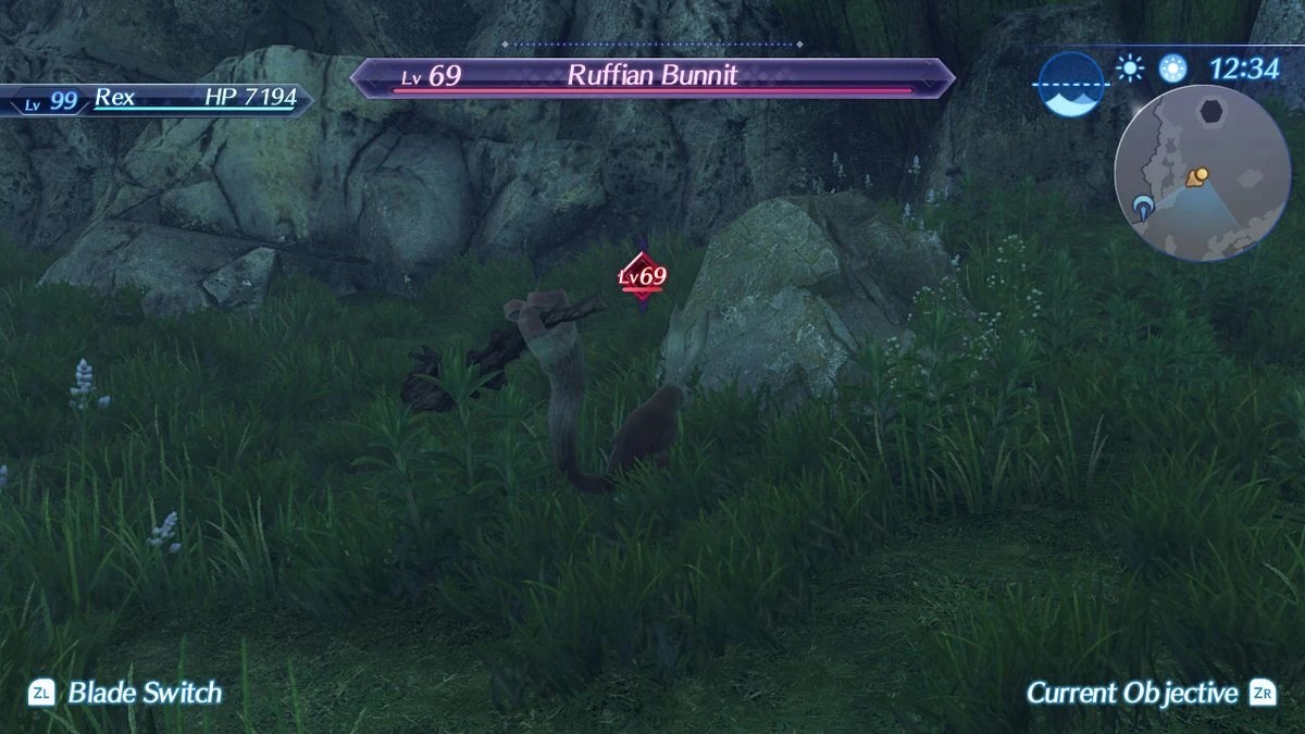 Ruffian Bunnit (XC2) Xenoblade Wiki Fandom