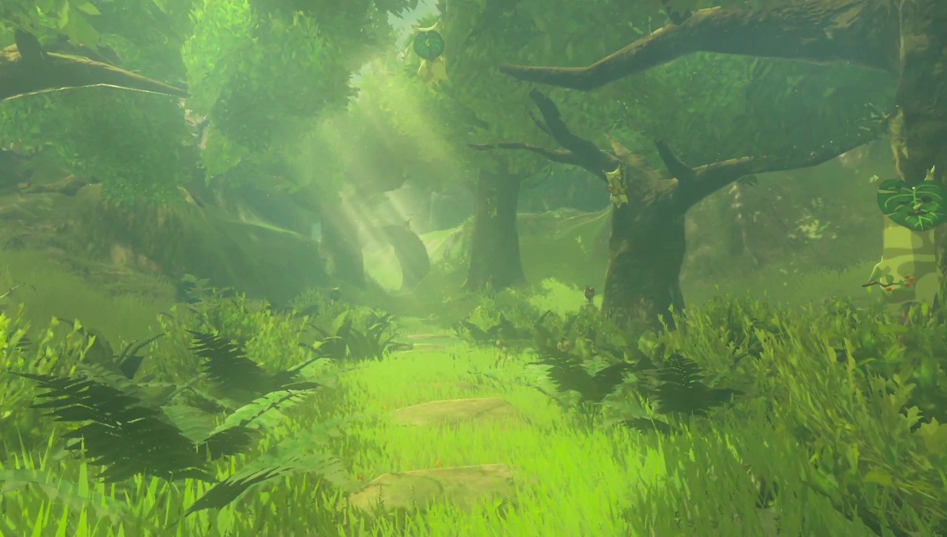 arbre mojo zelda totk