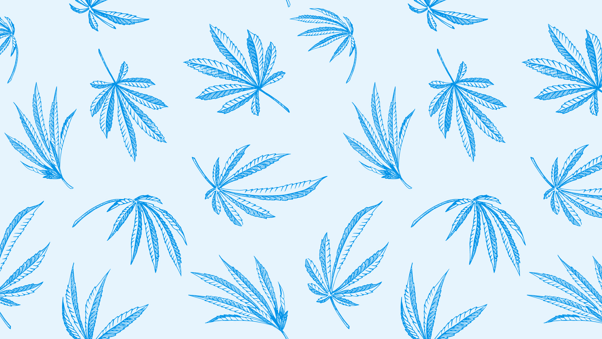 New Jersey Weed Laws & Regulations Wikileaf