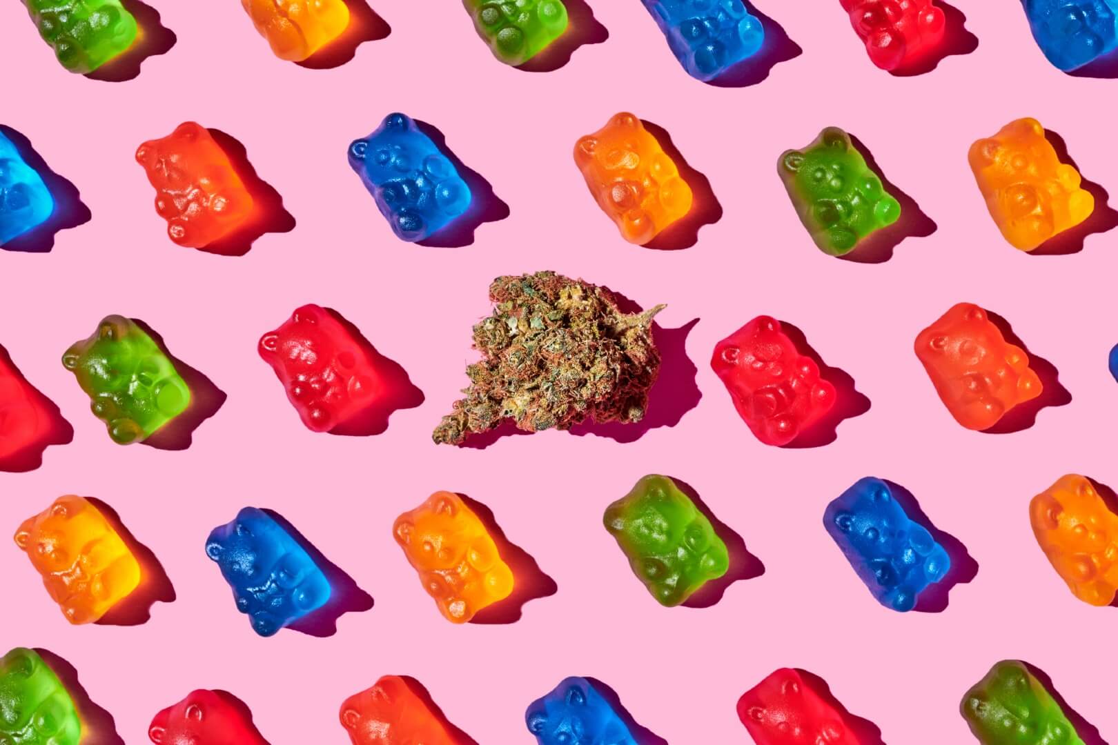Minnesota “Accidentally” Legalized Edibles Wikileaf