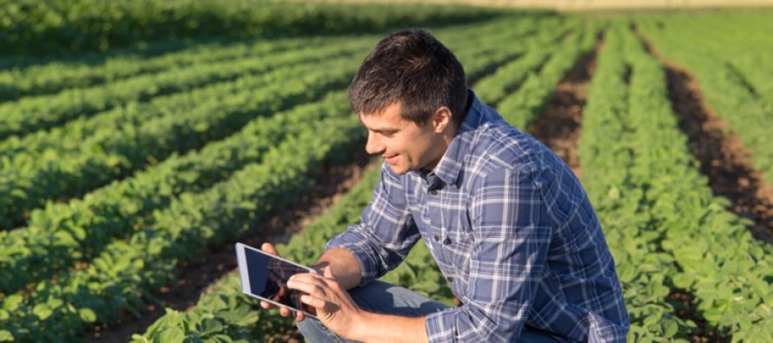 La Qualifica Dell'imprenditore Agricolo Professionale Varrà Sull'intero Territorio Nazionale - Winenews 680_x_1532_jpg