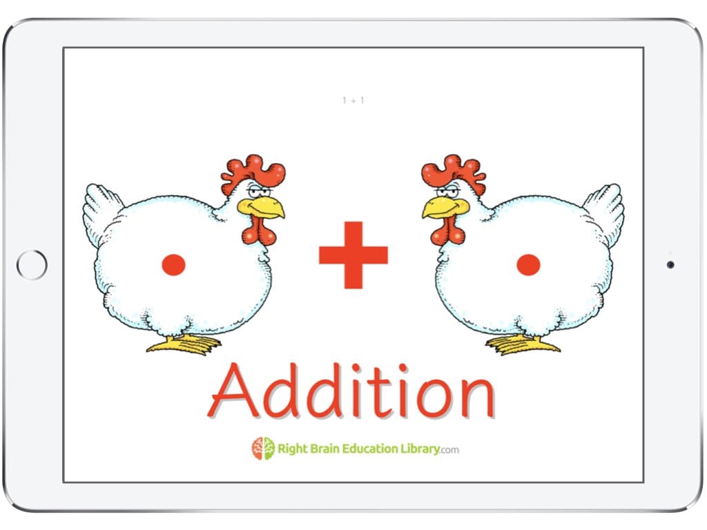 Baby Flash Cards Early Learning Right Brain Education