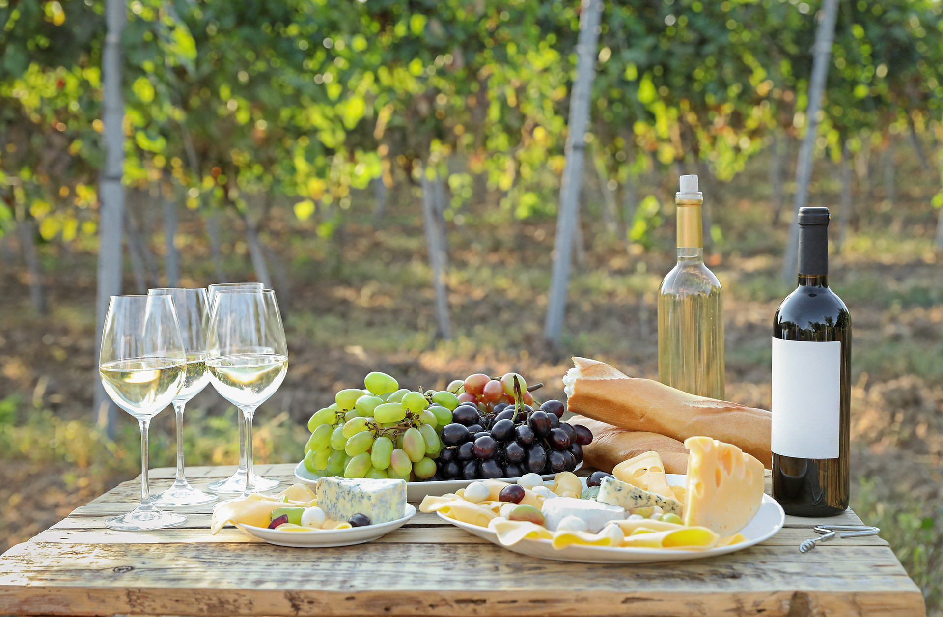 Valenzano Winery