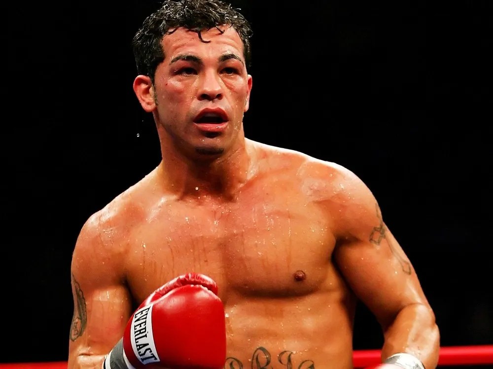 The Boxer with the Best Chin in Boxing Arturo Gatti