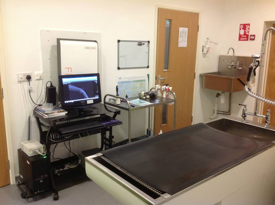 Keyhole Spay Keyhole Vet Clinic