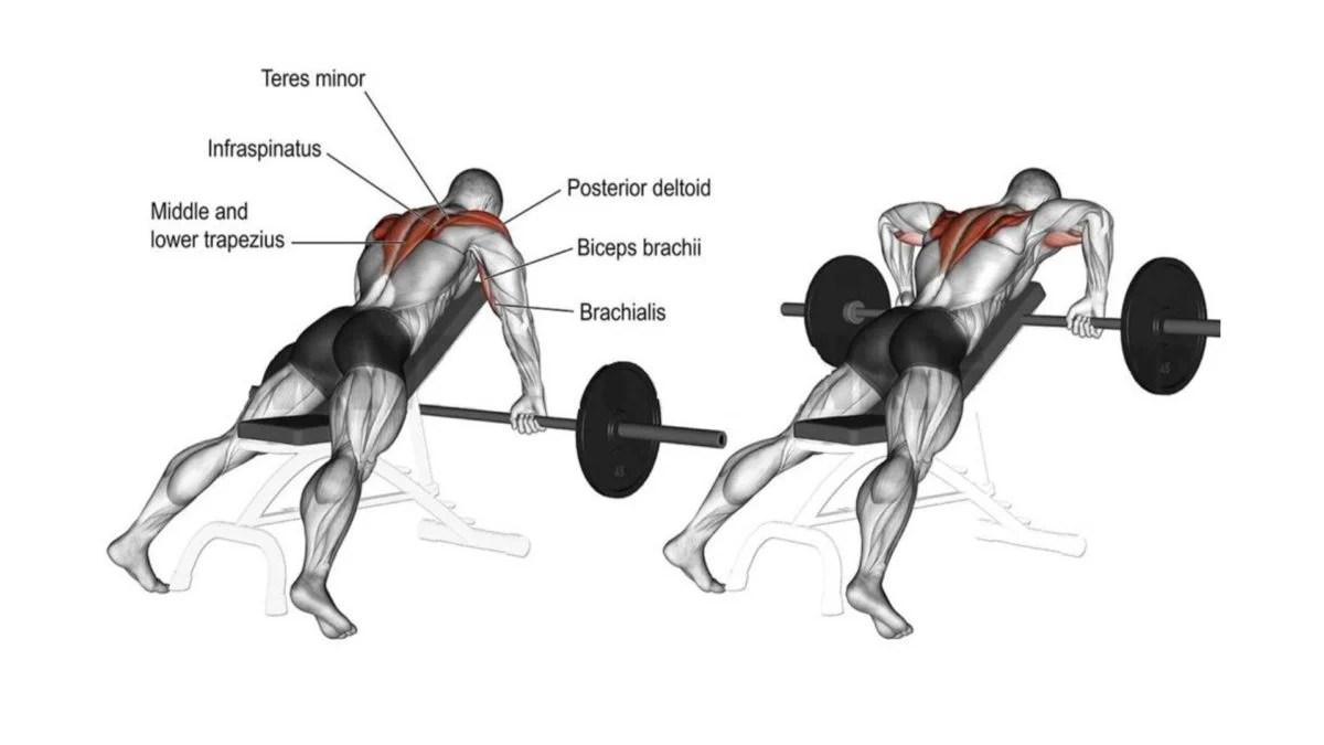 Perfect Your Form Expert Guide on How to Do a Rear Delt Workout
