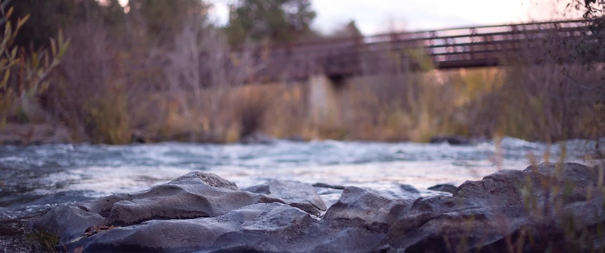 Services SteSophied'Halifax