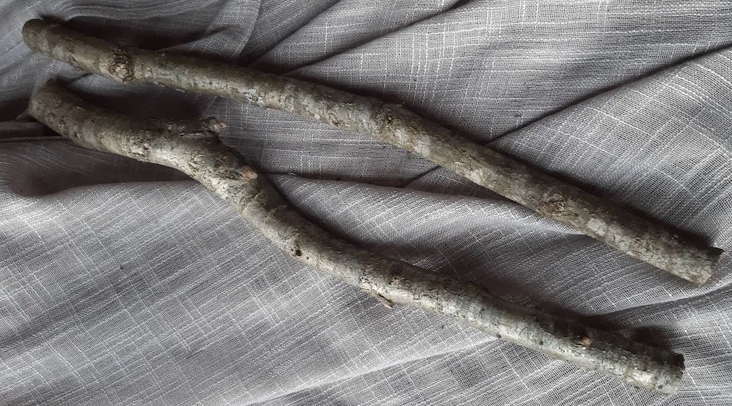 What trees are safe for budgie perches?